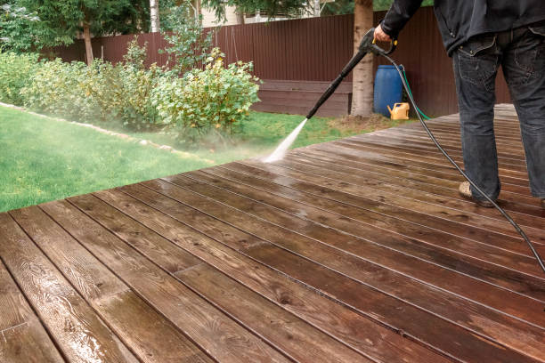 Best Solar Panel Cleaning  in Maud, TX